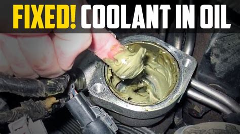 Coolant In Oil: 6 Causes, 3 Symptoms & Cost to Fix